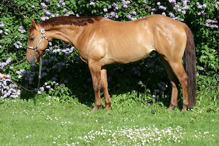 Quarter You Turn DK billede 11