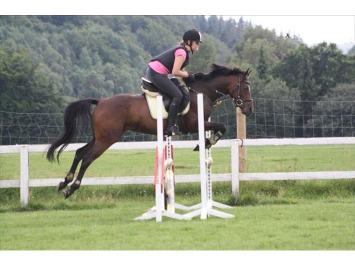 {{currentPhoto.altText}} billede {{currentPhoto.number}}