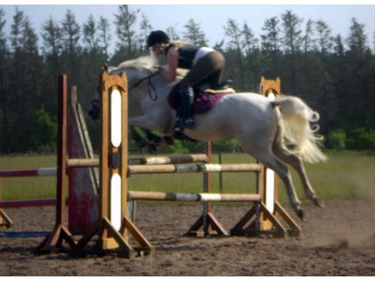 {{currentPhoto.altText}} billede {{currentPhoto.number}}