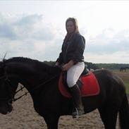 Anden særlig race Zididada