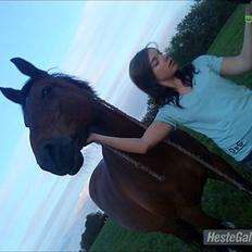 Anden særlig race Albanine †R.I.P†