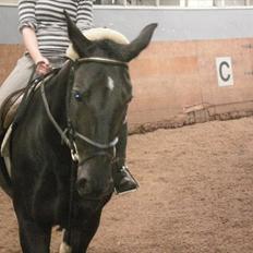 Oldenborg Bertha - Part