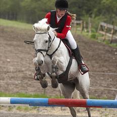 Anden særlig race victor - B pony † R.I.P †