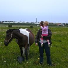 Anden særlig race Fattiggårdens NoName 