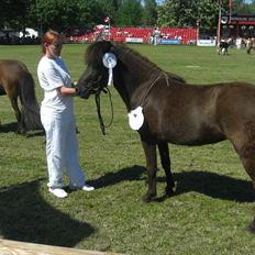 Islænder - Jodís Jernbjerg