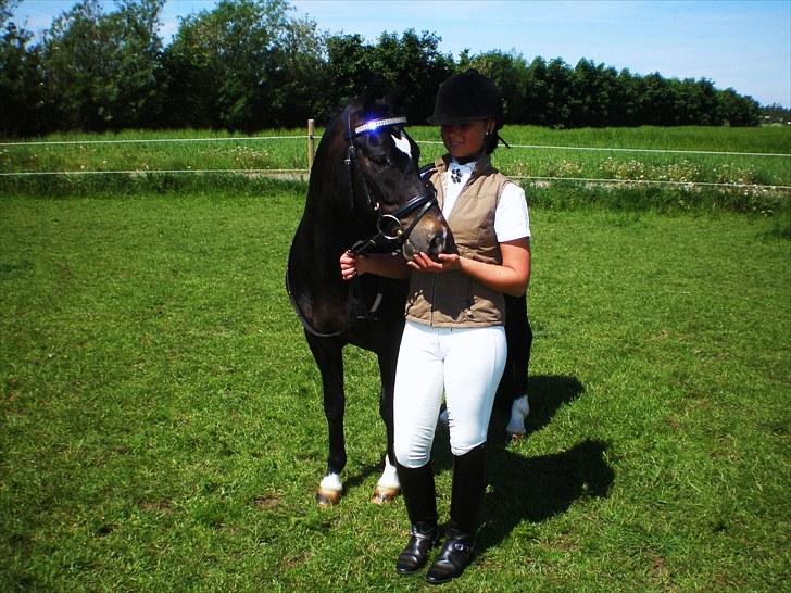 New Forest Løgtholt's Orlando billede 8