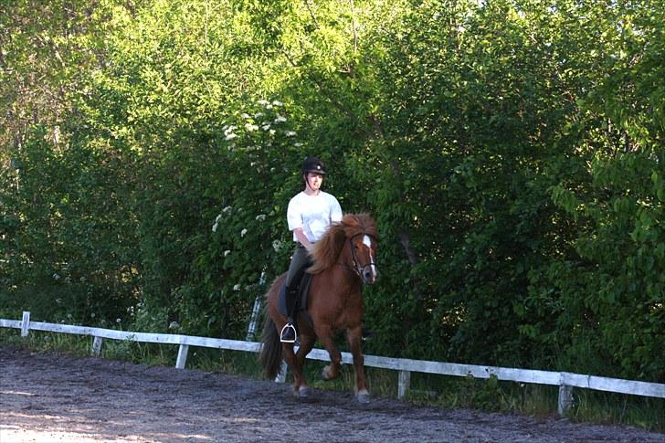 Islænder Fjölvi  billede 11