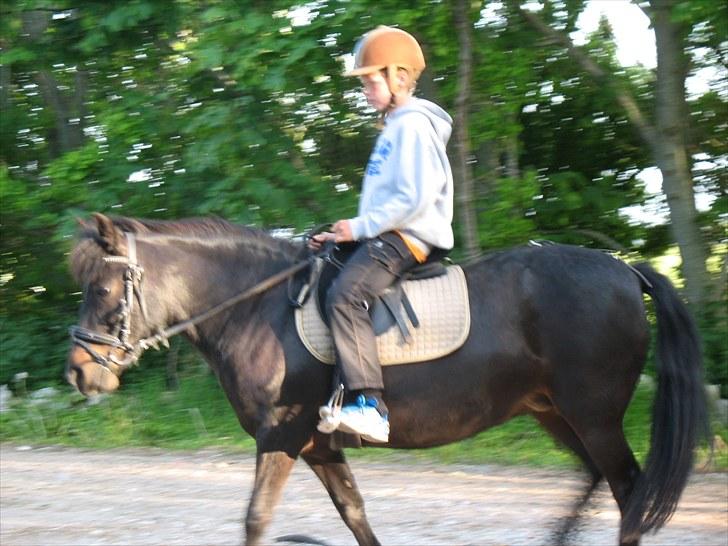 Anden særlig race Yasmin<3 billede 2