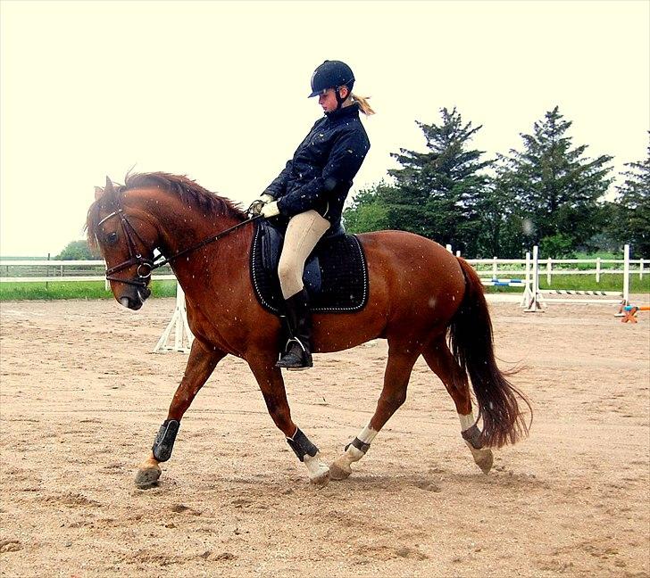 Anden særlig race Ami 'tidligere part(-;' - 4) Fordi alt det arbejde endelig viste sig at blive til den mest fantastiske pony! billede 4