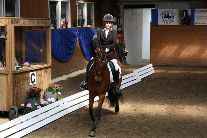 Anden særlig race Magnus [SOLGT] :'( - Foto: Tine billede 2