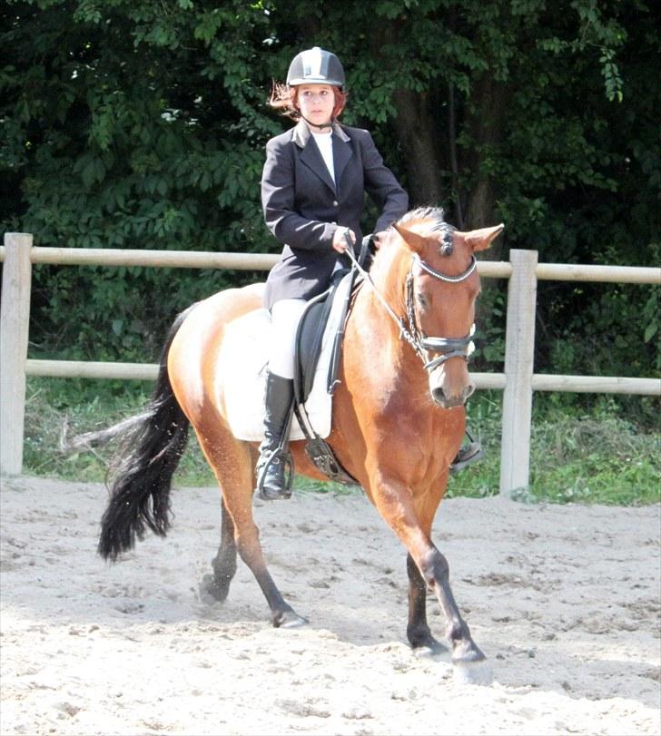 Anden særlig race Magnus [SOLGT] :'( billede 4