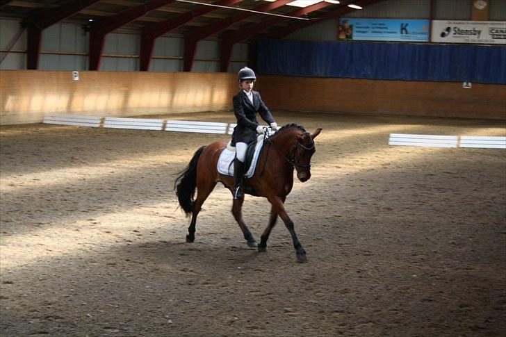 Anden særlig race Magnus [SOLGT] :'( billede 10