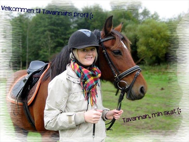 DSP Tavannah - Velkommen til Tavannahs profil  billede 1
