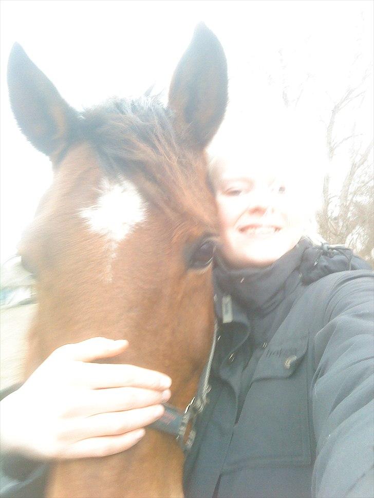 DSP Tavannah - Du er mere end igennem fantastisk <3 billede 2