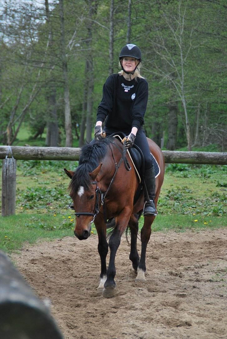 DSP Tavannah billede 3