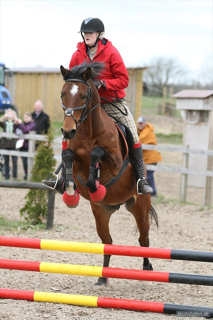 DSP Tavannah billede 4