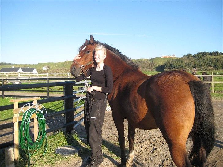 DSP Tavannah billede 9