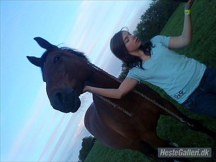 Anden særlig race Albanine †R.I.P† - velkommen til Albanine´s profil håber i nyder billederne(;<3  billede 1