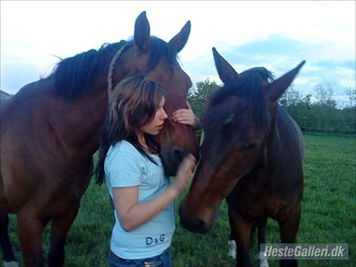 Anden særlig race Albanine †R.I.P† - diana ville ogs snakkes med(;<3 billede 2