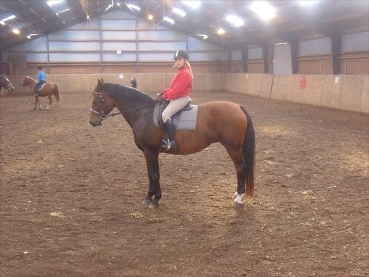 Anden særlig race Albanine †R.I.P† - ja lidt stiv i nakken, men elsker dig stadig!<3 billede 3