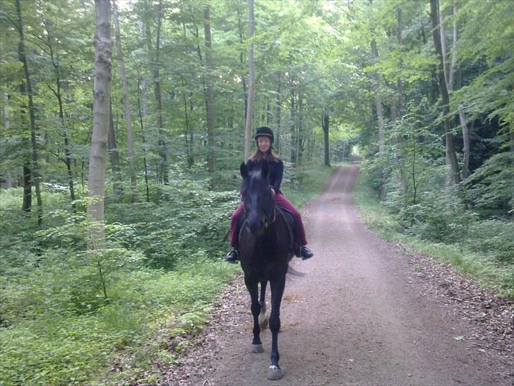 Polsk Ædelt Halvblod Kalisia - Aviaja får en tur i skoven. Juni 2010 billede 9