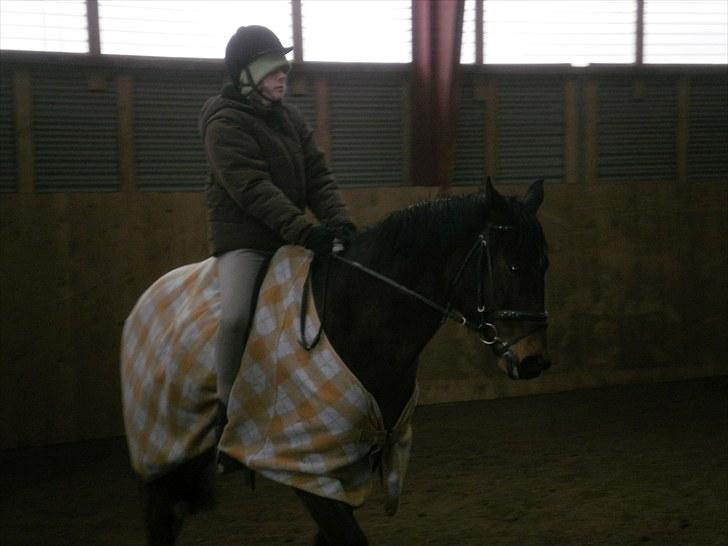 Anden særlig race † Flint R.I.P † - Fie og Flint billede 15