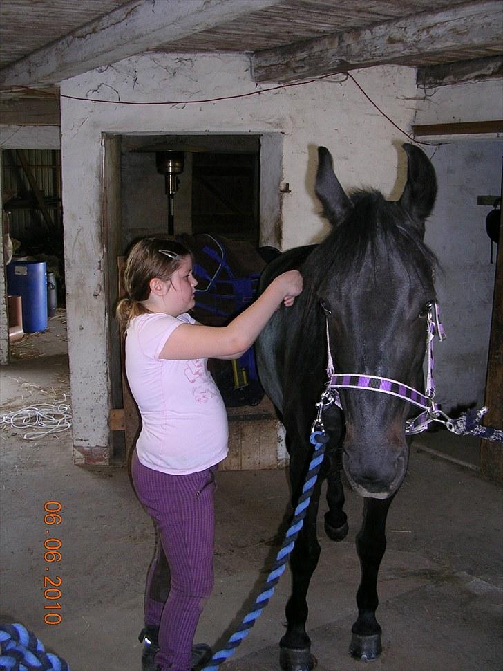 Anden særlig race Shikira "Leveret tilbage" billede 3