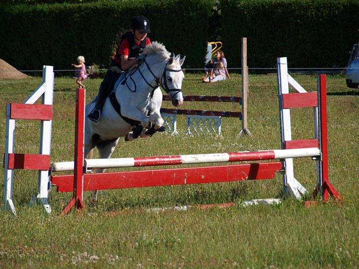 Welsh Pony (sec B) †Marmaja flika R.I.P† - Træning 2010 billede 11
