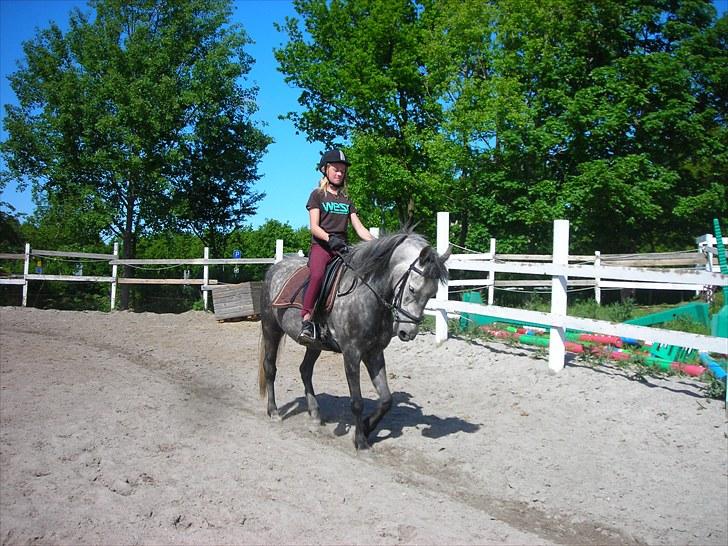 Anden særlig race | Stjerne - *11 ) Tak fordi du kikkede med :D Lig gerne en bedømmelse eller kommentar :D | Fotograf: ? billede 11