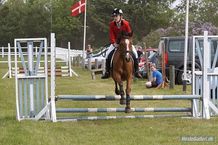 Anden særlig race Chanel - #12 billede 12