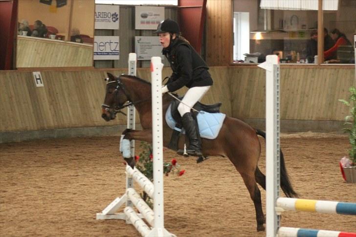 Anden særlig race Starlight * tidl passer * - Til springstævne på NOR. Foto: Lærke Jønck billede 17