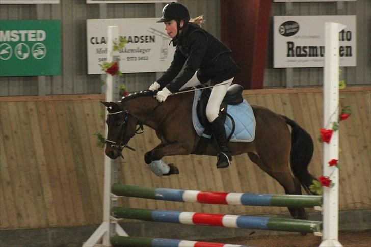 Anden særlig race Starlight * tidl passer * - Foto: Lærke Jønck billede 19