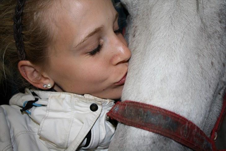 Anden særlig race Hovmarkens Lollipop part - 17 billede 17