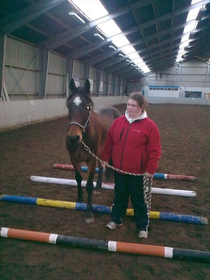 Welsh Cob (sec D) Donnovan - solgt - dato: 06/11-2010. Mig og Dunse i ridehallen (det nye sted). billede 1