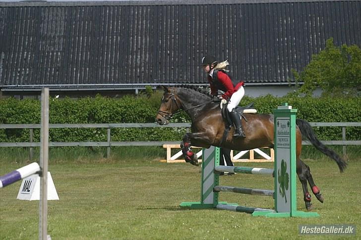 New Forest Cicero "SOLGT :'( "  - lD i Nejst hvor vi red 5 sek hurtigere end 2 pladsen, så det vil jo sige at vi fik en 1 plads og en 0 runde :D<3 billede 1