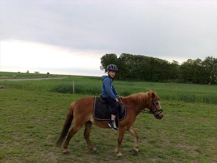 Anden særlig race Futte.†. ~savnet for altid~ - lillebror ville prøve ! XD billede 16