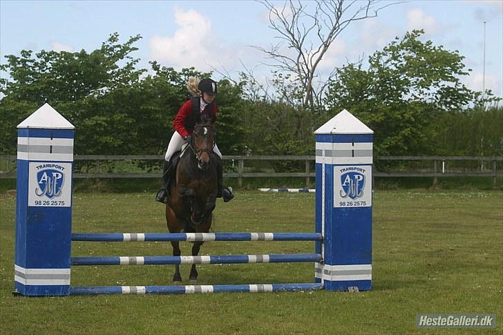 New Forest Cicero "SOLGT :'( "  - lD i Nejst hvor vi red 5 sek hurtigere end 2 pladsen, så det vil jo sige at vi fik en 1 plads og en 0 runde :D<3 billede 4