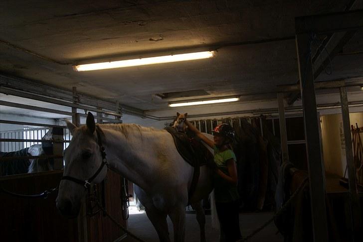 Oldenborg Cancan 4 - Pepsi sider på Cancan xD<3 billede 8
