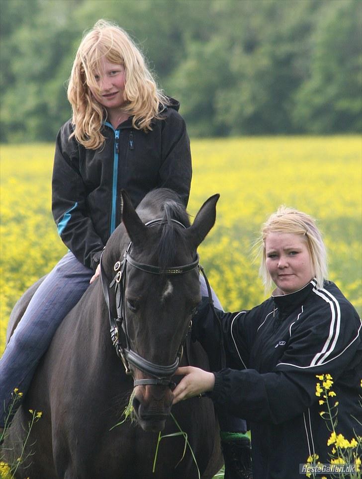 Anden særlig race Candy billede 18