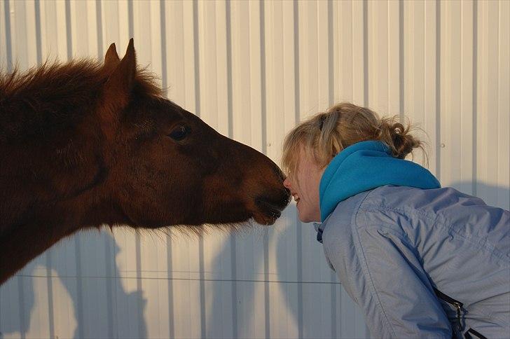 Anden særlig race Bellami billede 9