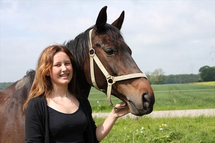 Dansk Varmblod Michado - *billedet må ikke kopieres* tak fordi i kiggede med :) billede 15