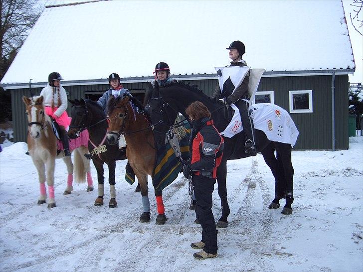 Oldenborg Møllevangs Lucky ( aflivet ) - fastalavns ridning med dejlige camilla og maja(: billede 10