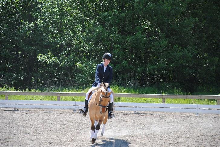 Anden særlig race Tulle - Klubmesterskab 2010, LC2 billede 19