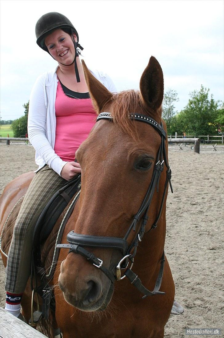 Anden særlig race Con Amour Cisca *solgt* billede 13