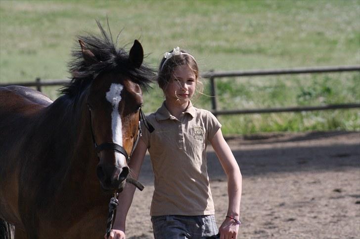 Anden særlig race Dream step *A- PONY!* - ALLE har en DÅRlig hårdag...:P billede 6