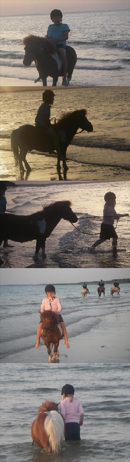 Shetlænder Smølf  - her er smølf og christoffer og mig  billede 4