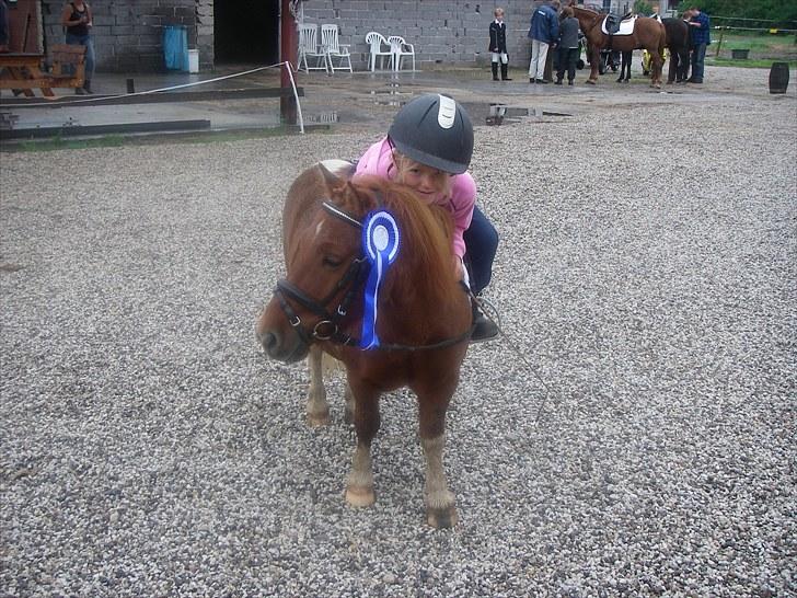 Shetlænder Smølf  - LD1 OG LD2 den anden er omme bag ved "Anden plads billede 5