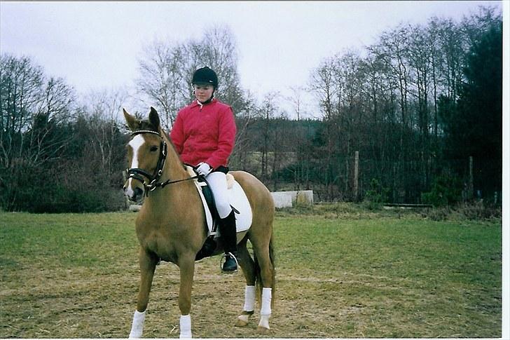 New Forest Calandias Red Carnation billede 20