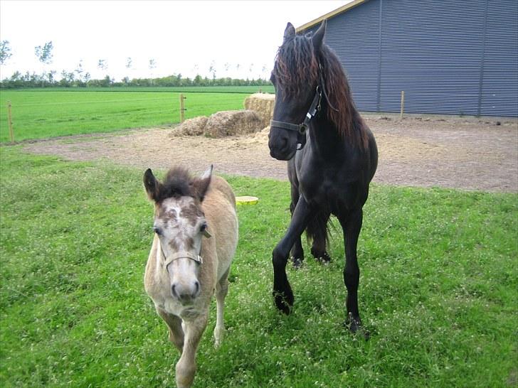 Anden særlig race Zorro - Min bedste veninde og jeg hygger :D billede 14