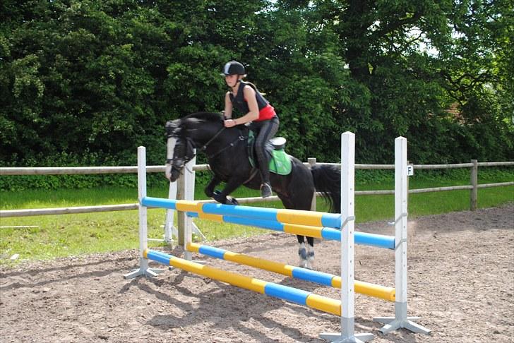 Anden særlig race Starlight Moon - en sjov dag med spring træning :) foto:julie bratås  billede 13